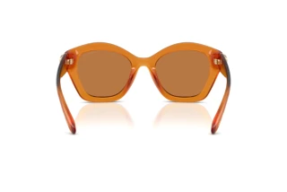 Vue arrière Coach CAD31 (HC8421U - 564773)