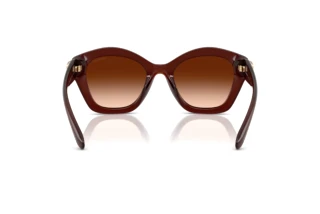 Vue arrière Coach CAD31 (HC8421U - 584174)