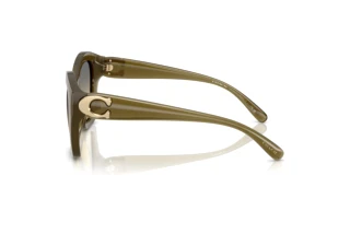 Vue latérale Coach CAD31 (HC8421U - 5872L0)