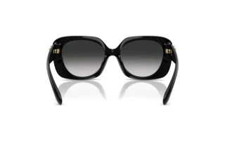 Vue arrière Coach CAD33 (HC8422U - 50023C)