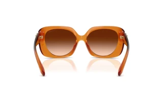 Vue arrière Coach CAD33 (HC8422U - 564774)