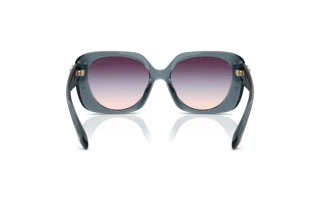 Vue arrière Coach CAD33 (HC8422U - 5871U7)