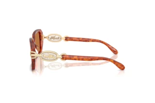 Vue latérale Coach CAD74 (HC8425U - 577473)