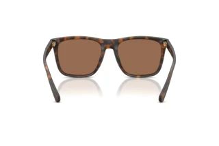 Vue arrière Coach CAE78 (HC8427U - 512073)