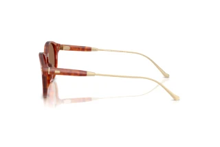 Vue latérale Coach CAD83 (HC8428U - 577473)