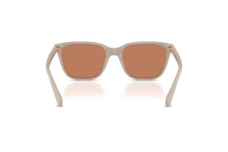 Vue arrière Coach CAE86 (HC8429D - 58843)