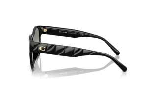 Vue latérale Coach CAE87 (HC8430D - 50023C)