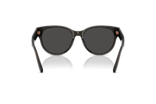 Vue arrière Coach CAE87 (HC8430D - 589787)