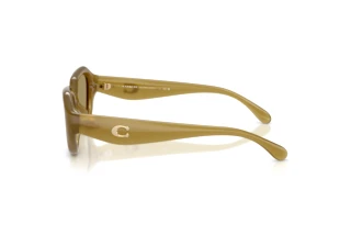 Vue latérale Coach CBY77 (HC8433U - 590230)