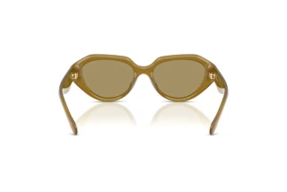 Vue arrière Coach CBY77 (HC8433U - 590230)