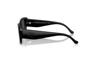 Vue latérale Coach CBY82 (HC8435U - 500287)