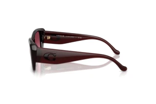 Vue latérale Coach CBY82 (HC8435U - 59158H)