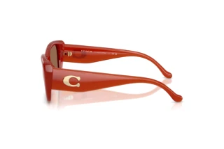 Vue latérale Coach CBY82 (HC8435U - 591673)