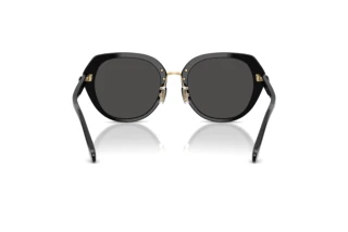 Vue arrière Coach CBY93 (HC8436 - 500287)