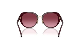 Vue arrière Coach CBY93 (HC8436 - 59158H)