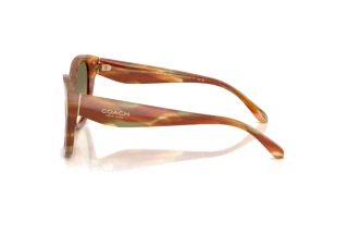 Vue latérale Coach CBY94 (HC8438U - 5898L0)