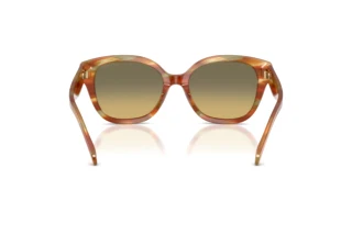 Vue arrière Coach CBY94 (HC8438U - 5898L0)