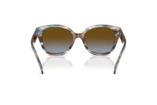 Vue arrière Coach CBY94 (HC8438U - 589913)