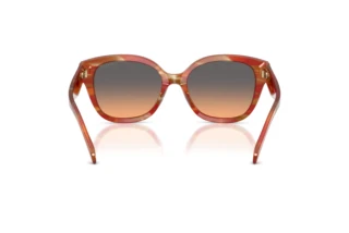 Vue arrière Coach CBY94 (HC8438U - 590018)