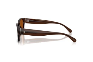 Vue latérale Coach CBY96 (HC8441U - 591173)