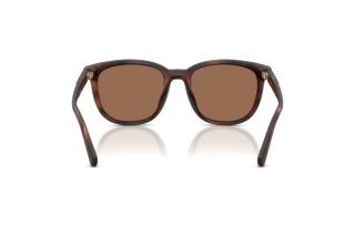 Vue arrière Coach CCA00 (HC8442U - 512073)