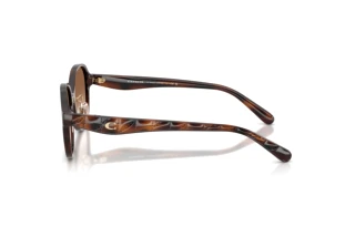 Vue latérale Coach CBY85 (HC8445D - 512013)