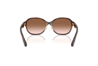 Vue arrière Coach CBY85 (HC8445D - 512013)