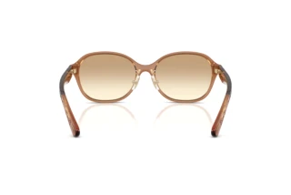 Vue arrière Coach CBY85 (HC8445D - 565413)