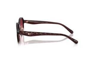 Vue latérale Coach CBY85 (HC8445D - 59158H)