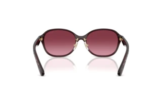 Vue arrière Coach CBY85 (HC8445D - 59158H)