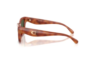 Vue latérale Coach CDP33 (HC8449U - 57749A)