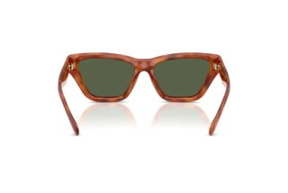 Vue arrière Coach CDP33 (HC8449U - 57749A)