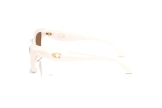 Vue latérale Coach CDP33 (HC8449U - 579073)