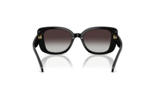 Vue arrière Coach CDP48 (HC8450U - 50028G)