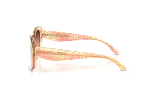 Vue latérale Coach CDP48 (HC8450U - 5934W8)