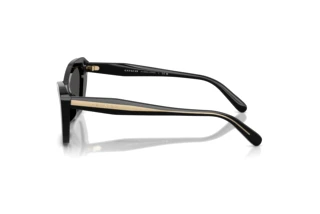 Vue latérale Coach CDP52 (HC8452U - 500287)