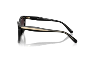 Vue latérale Coach CDP53 (HC8453U - 50028G)