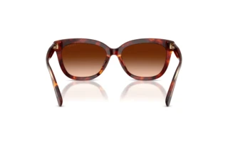 Vue arrière Coach CDP53 (HC8453U - 593874)