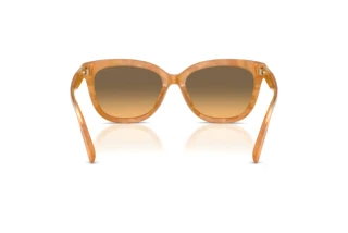 Vue arrière Coach CDP53 (HC8453U - 593911)