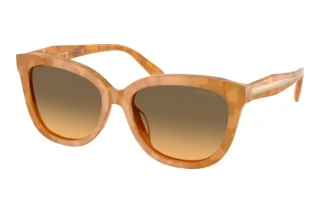 Vue de face Coach CDP53 (HC8453U - 593911)