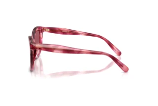 Vue latérale Coach CDP53 (HC8453U - 59417W)