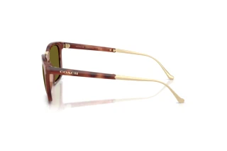 Vue latérale Coach CDP54 (HC8455 - 5774/2)