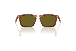 Vue arrière Coach CDP54 (HC8455 - 5774/2)