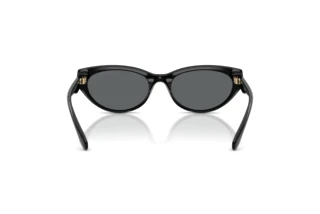 Vue arrière Coach CDP42 (HC8456D - 500281)