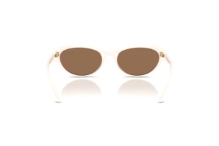 Vue arrière Coach CDP42 (HC8456D - 579073)