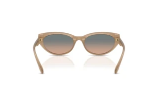 Vue arrière Coach CDP42 (HC8456D - 594413)