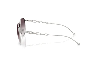 Vue latérale Diesel DL1009 (101411)