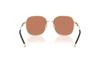 Vue arrière Diesel DL1010D (101173)