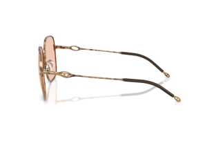 Vue latérale Diesel DL1010D (103084)