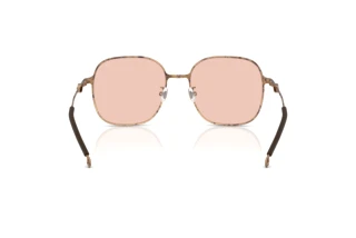 Vue arrière Diesel DL1010D (103084)